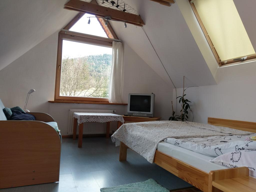 Apartamencik Z Widokiem Na Giewont Закопане Экстерьер фото