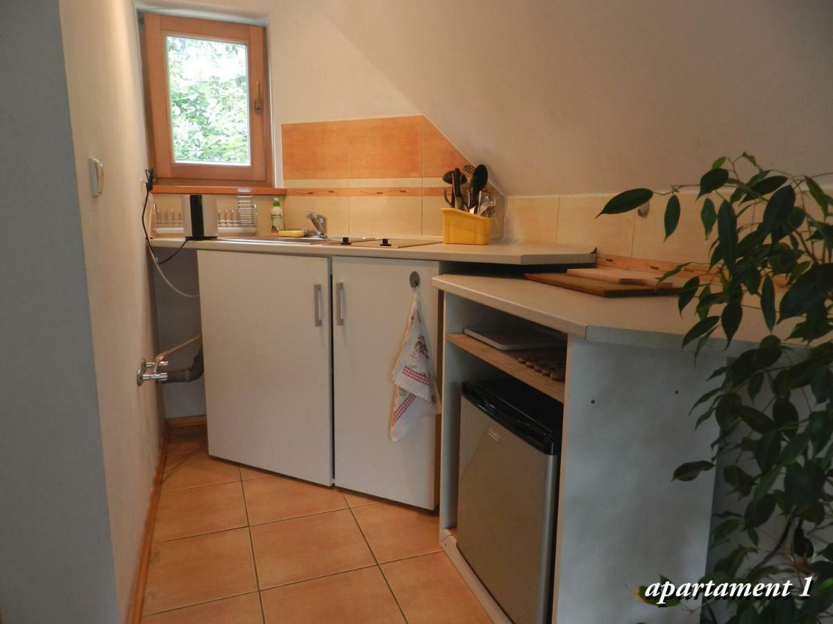 Apartamencik Z Widokiem Na Giewont Закопане Экстерьер фото